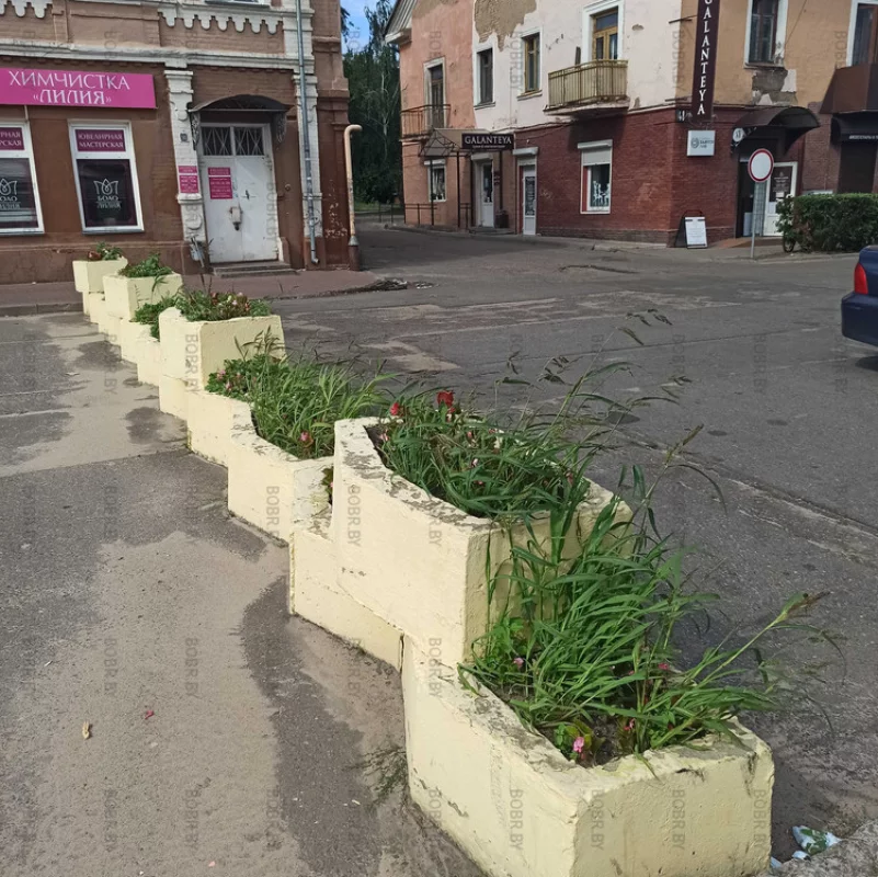 Красивые городские клумбы около базара