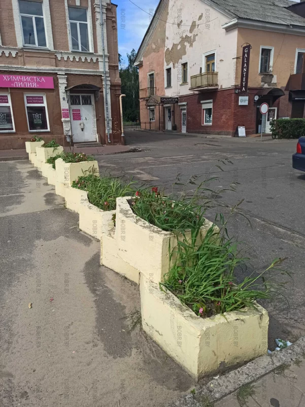 Красивые городские клумбы около базара