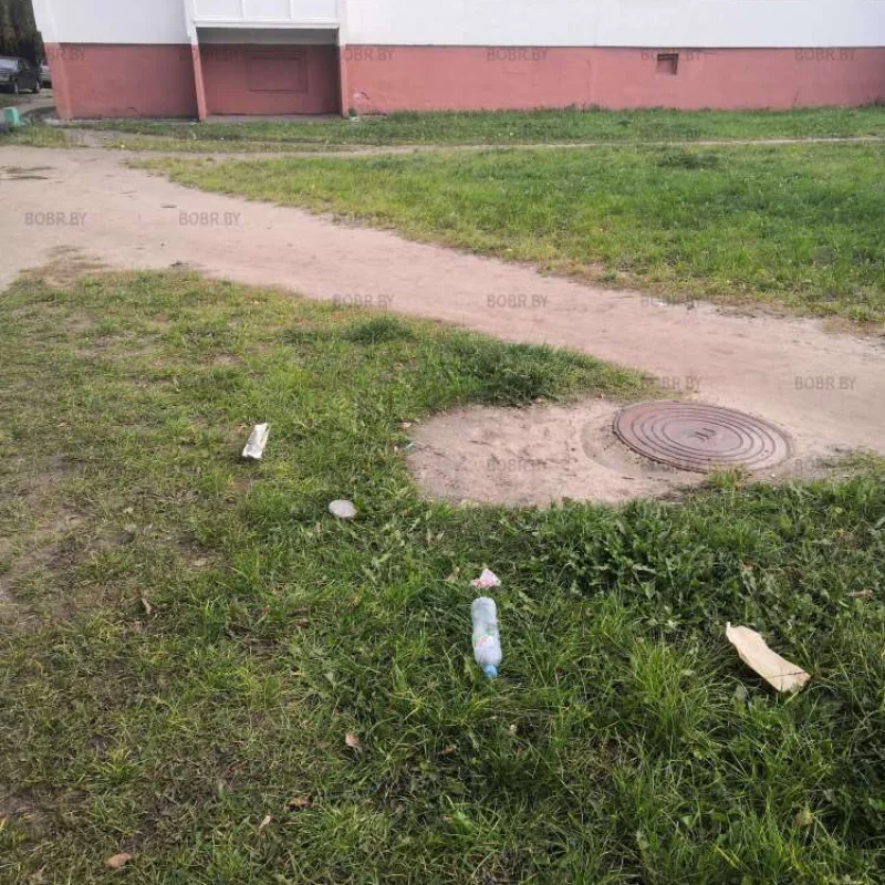 Некультурные граждане добавляют работы дворникам... 