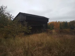 Дом -дачу (почти даром)