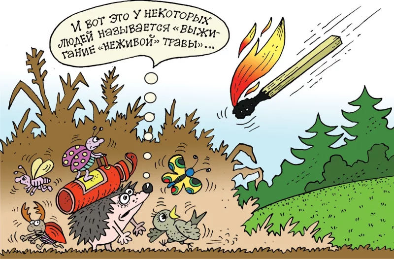 Горение сухой травы