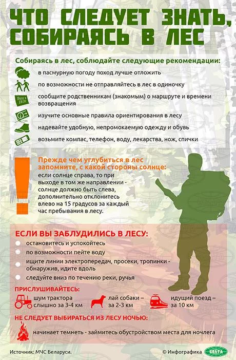Тихая охота: как не потеряться в лесу