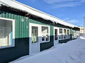 Повильонов на рынке Птичка. Бобруйск, ул. Дзержинского, 4