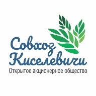 Водитель