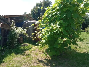 Дача, для отдыха и садоводства или для постоянного места жительства