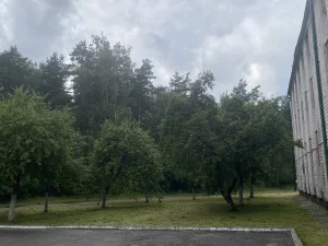 Комплекс из двух зданий