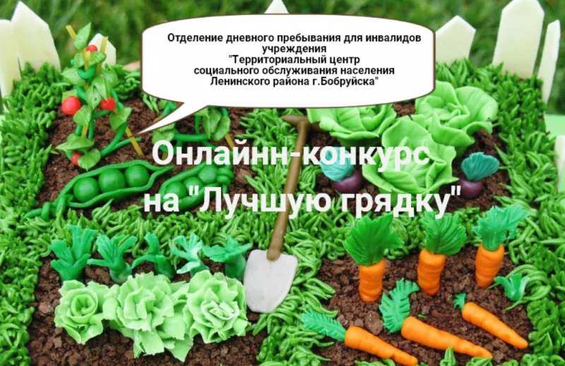 Огород  у нас хорош,  все, что хочешь здесь сорвешь