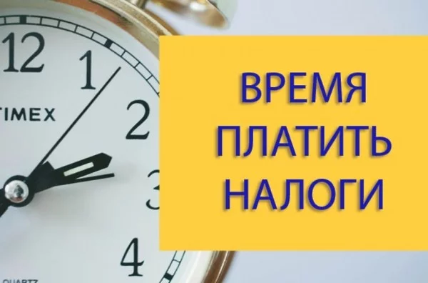 Кто должен декларировать доходы за 2020 год