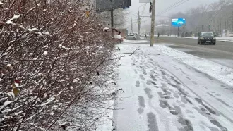 Осадки в виде снега и дождя ожидают нас в ближайшие дни, по прогнозам синоптиков