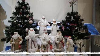 Бобруйчанка Галина Жук представила на выставке в Могилеве раритетные елочные игрушки