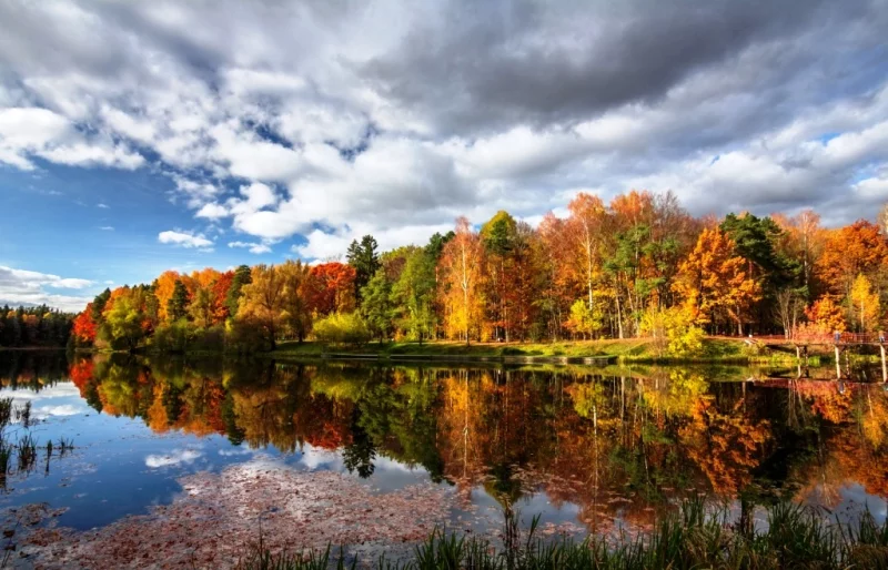 Погода на 18 апреля в Могилевской области