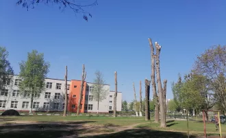 Кто поплатился за испорченные деревья и свалки в Бобруйске?