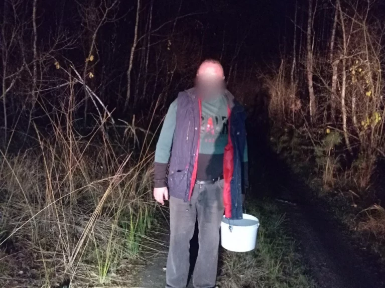 Заблудившийся в лесу Бобруйского района мужчина найден МЧС