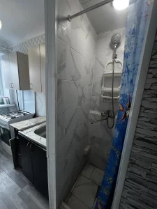 1 комнатная центр