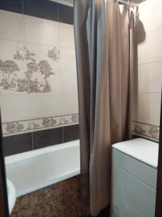 Однокомнатная благоустроенная квартира с мебелью и бытовой техникой