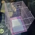 Клетку 38*28*22 см в отличном состоянии. 50 р. Или обменяю