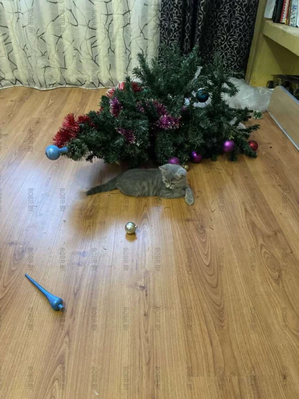 Я немножко отдохну и опять играть начну ????????