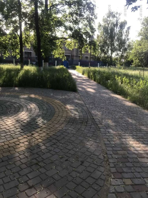 Улица Дзержинского. Трава по пояс. На клумбе ни одного цветочка . Зачем спрашивается вырубали сквер .