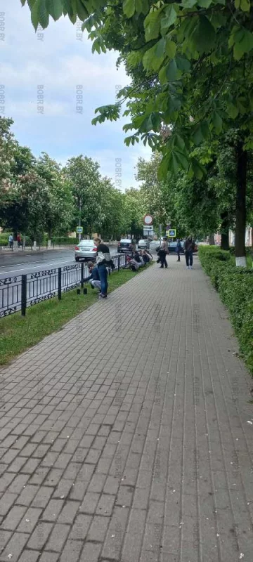 Детский труд? Легко!