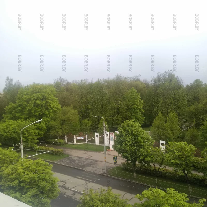 Вид из окна на городской парк