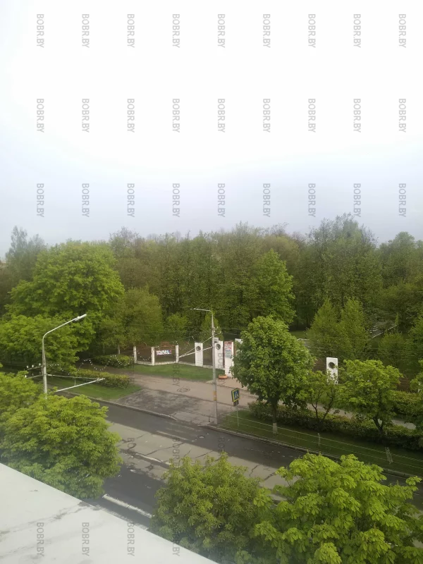 Вид из окна на городской парк