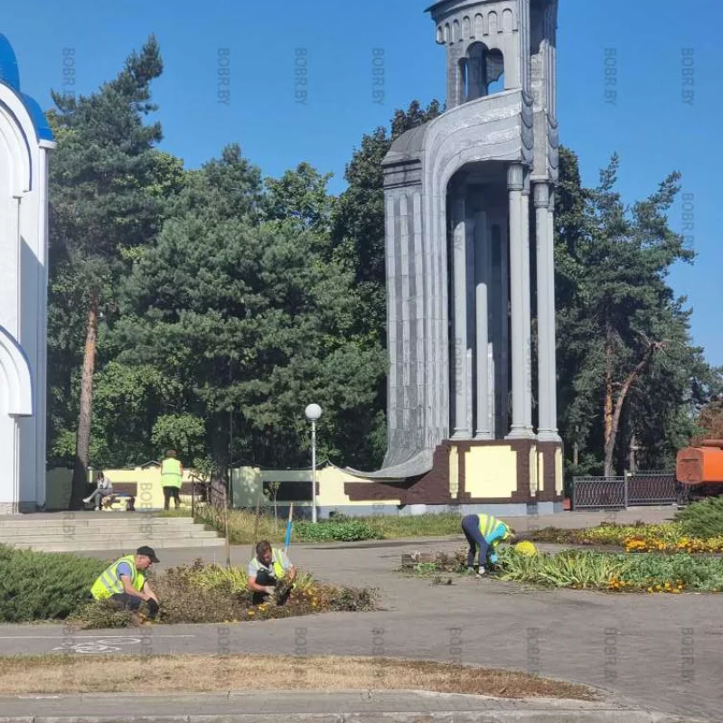Зеленхоз работает не покладая рук