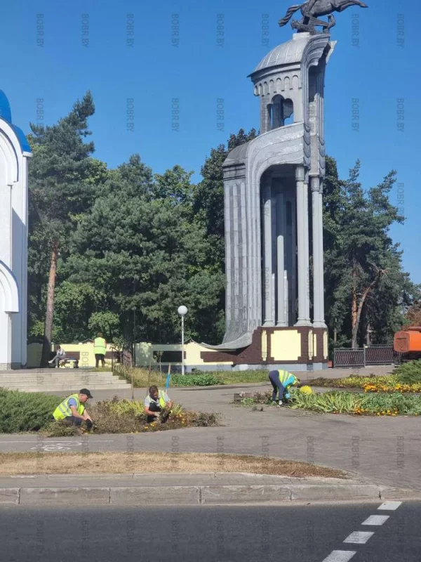 Зеленхоз работает не покладая рук