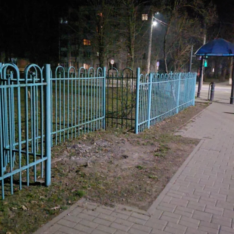 Росло дерево, дерево спилили, осталось клумба, Почему бы не посадить новое дерево?