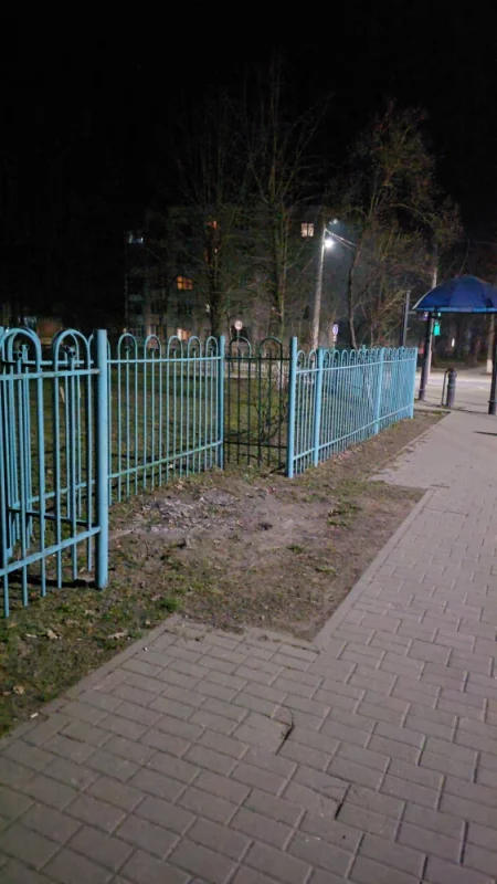 Росло дерево, дерево спилили, осталось клумба, Почему бы не посадить новое дерево?