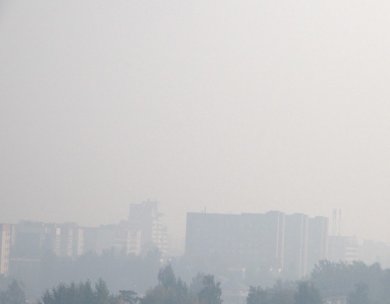 Для ликвидации пожара под Бобруйском может быть задействована техника на уровне республики. Видео