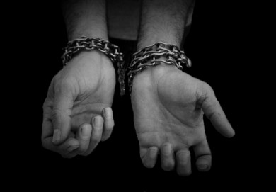 Директор колледжа в Бобруйске заставлял учащихся работать на своей даче