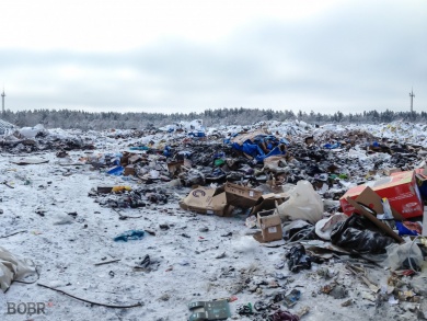 Бобруйск остался с мусором и без миллионов евро