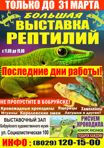 Не пропустите! Большая выставка рептилий в Бобруйске