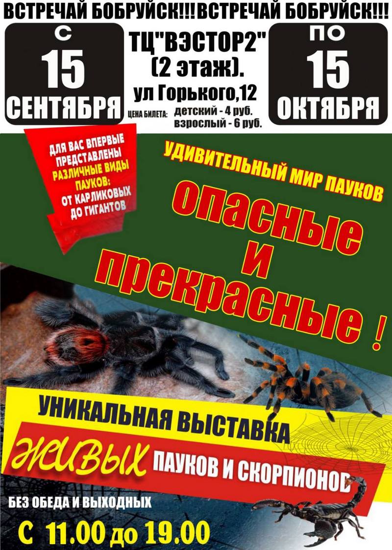 Удивительный мир пауков «ОПАСНЫЕ И ПРЕКРАСНЫЕ»