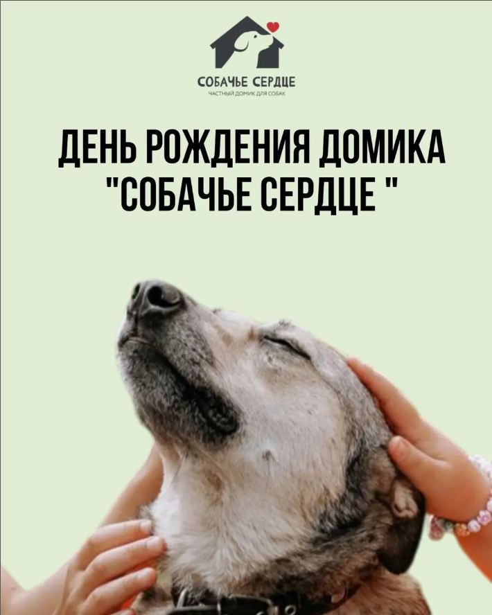 День рождения домика «Собачье сердце»