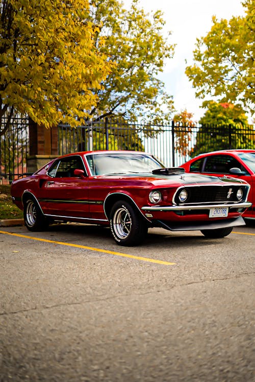 Выставка автомобилей Ford Mustang