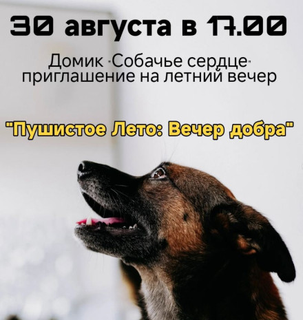 Домик &quot; Собачье сердце&quot; приглашает на  летный вечер