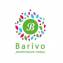 Barivo. Дизайнерские товары и подарки