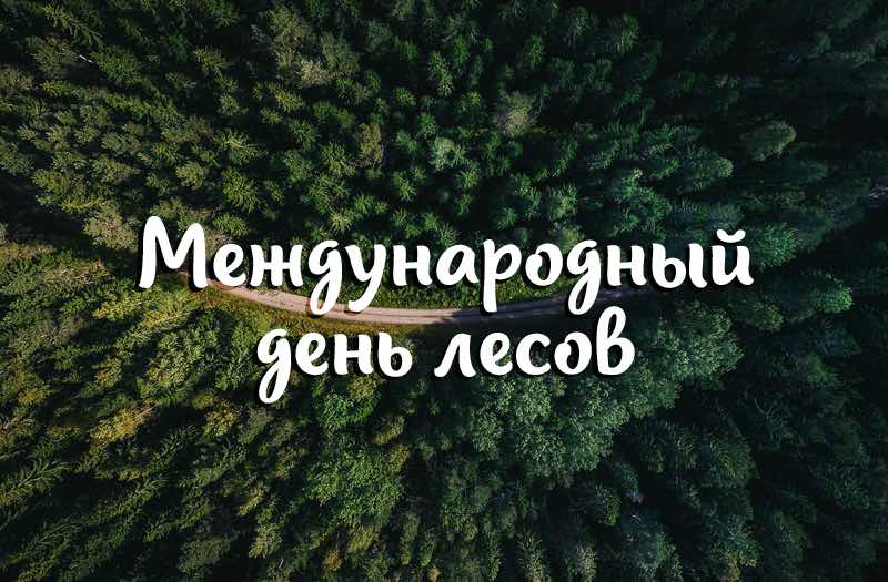 Международный день леса открытки