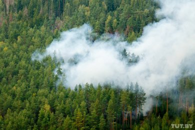 В 90 районах Беларуси запрещено посещать леса. К выходным ожидается полный запрет