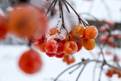 Выходные будут морозными, но с понедельника погода резко начнет меняться