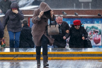 В Беларуси объявлено штормовое предупреждение из-за шквалистого ветра